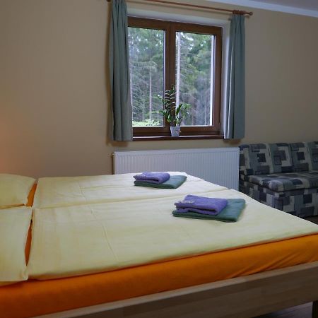 Pension Aspen Harrachov Extérieur photo