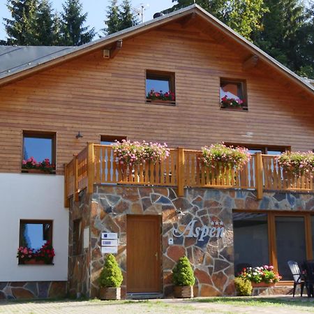 Pension Aspen Harrachov Extérieur photo