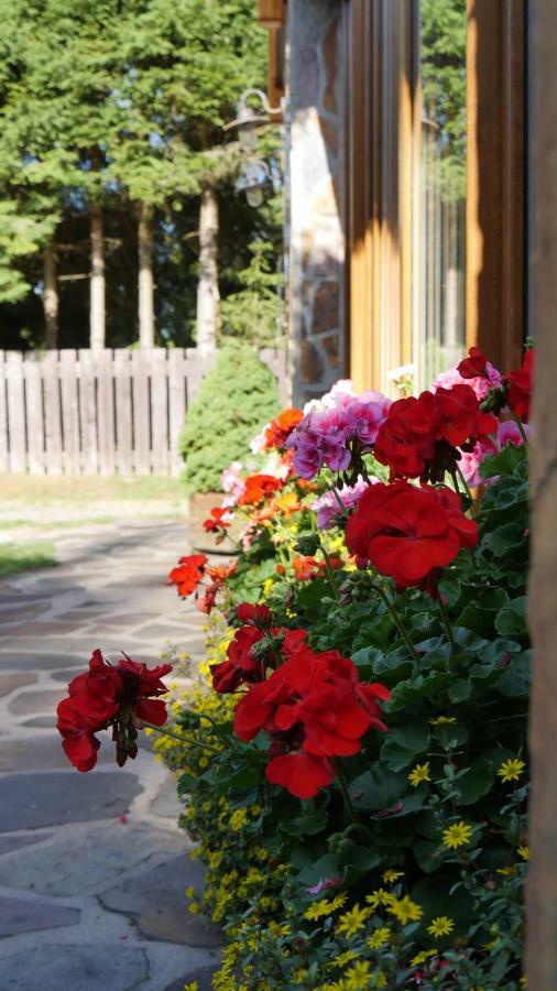 Pension Aspen Harrachov Extérieur photo