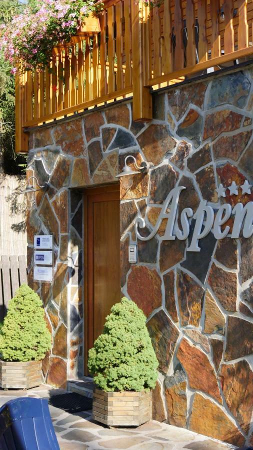 Pension Aspen Harrachov Extérieur photo