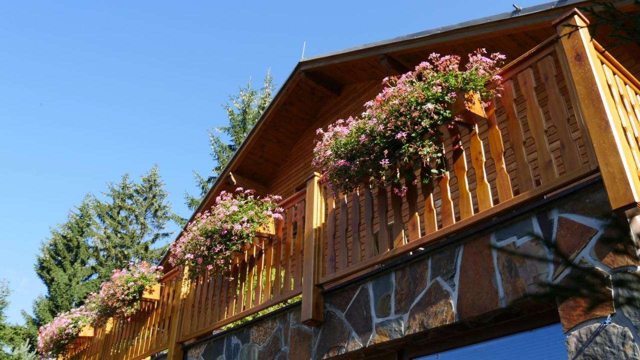 Pension Aspen Harrachov Extérieur photo
